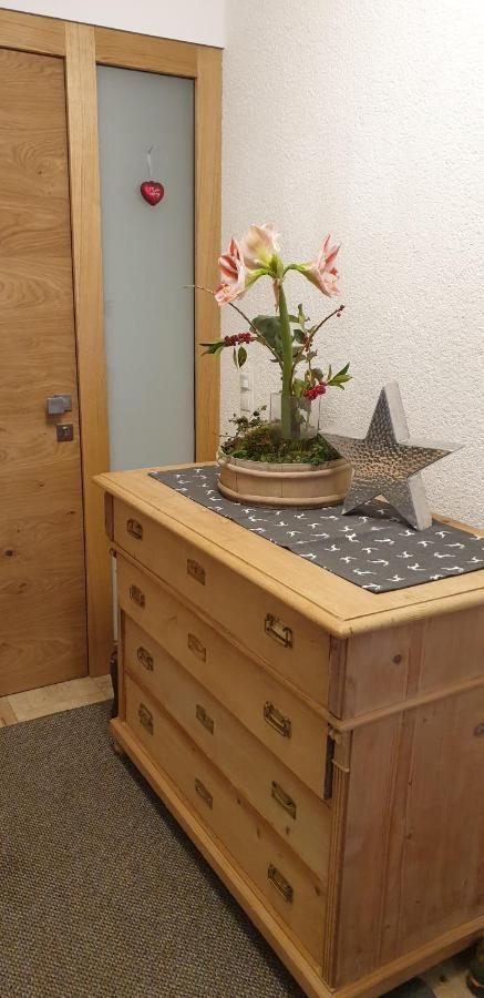 Haus Feuerstein Apartment Schnepfau Екстериор снимка